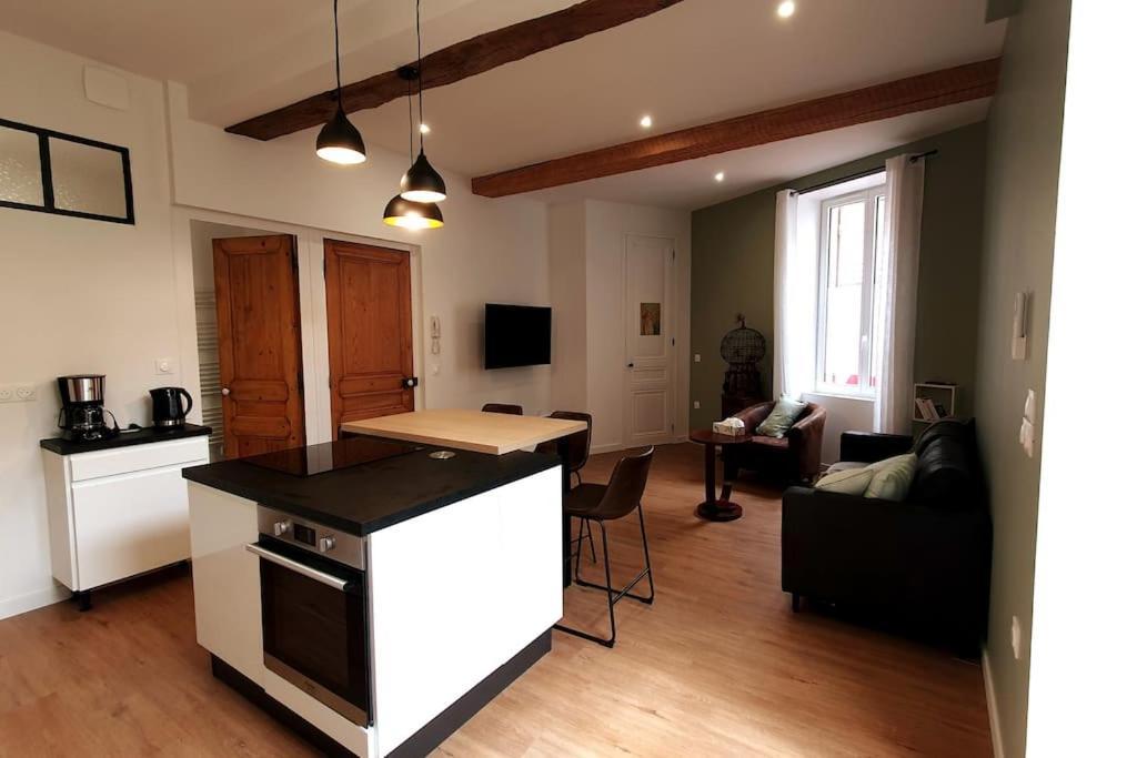 Classe 4 Etoiles - Cybele - Centre Ville 2 Chambres, Cour Privative Et Garage 维也纳 外观 照片