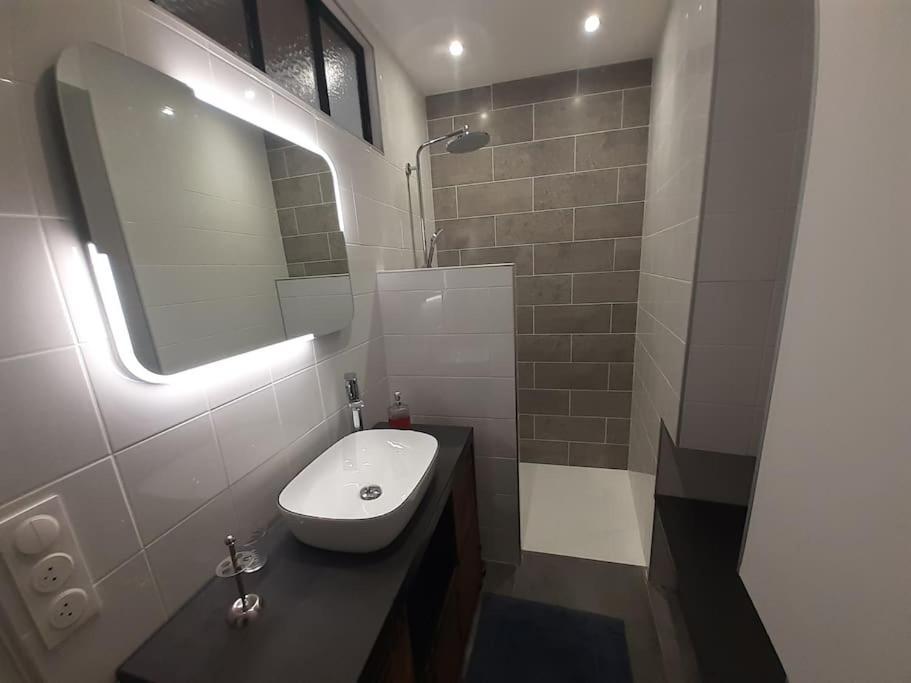 Classe 4 Etoiles - Cybele - Centre Ville 2 Chambres, Cour Privative Et Garage 维也纳 外观 照片