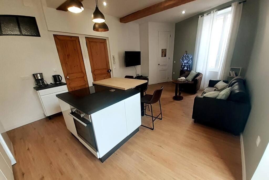 Classe 4 Etoiles - Cybele - Centre Ville 2 Chambres, Cour Privative Et Garage 维也纳 外观 照片
